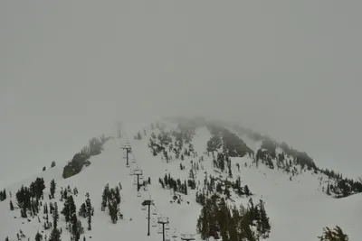 DSC_6747 (Large).JPG